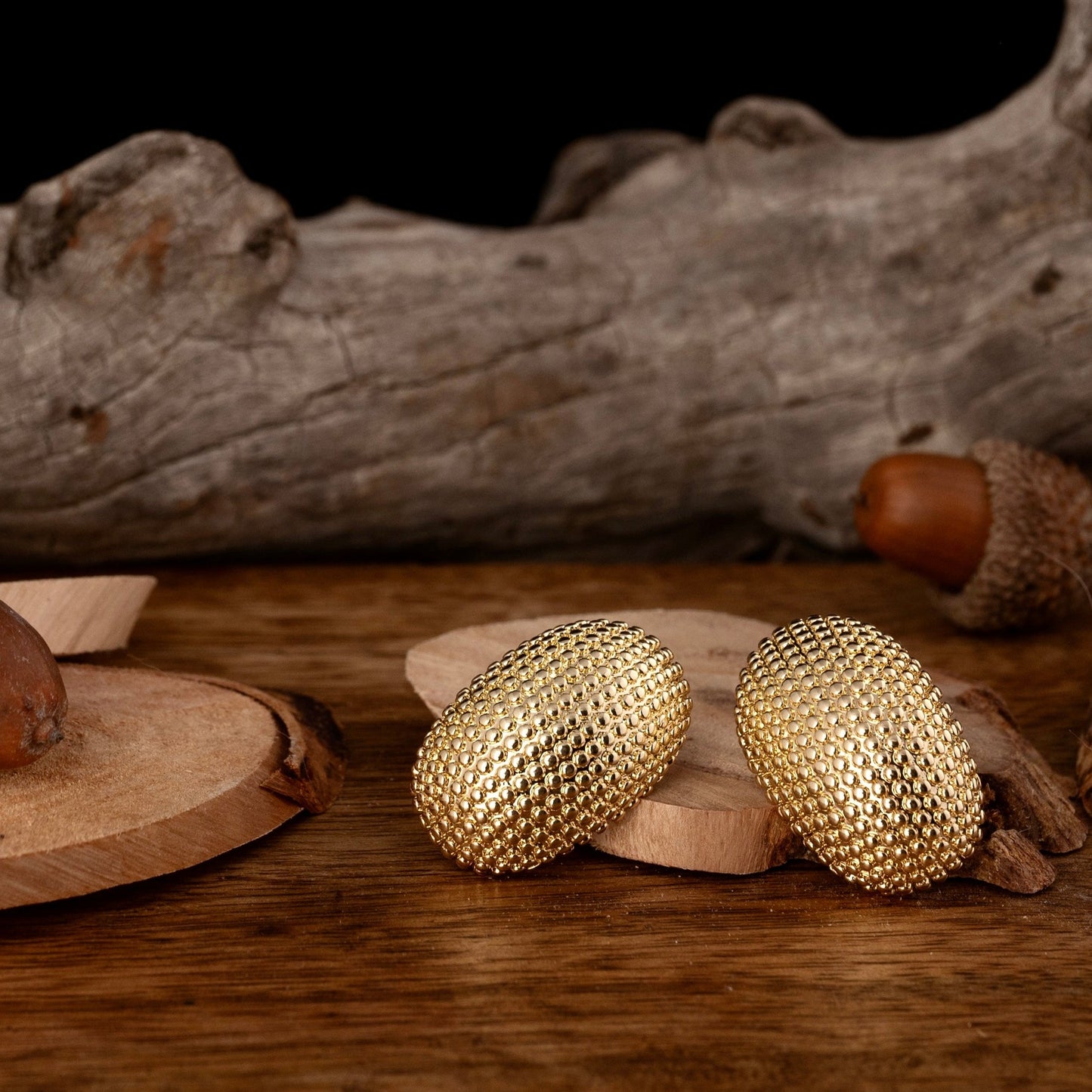 Σκουλαρίκια