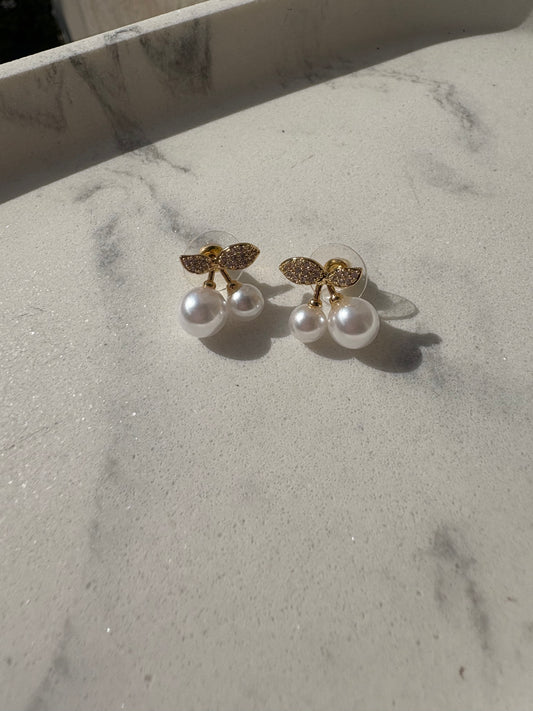 Σκουλαρίκια