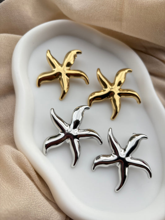 Σκουλαρίκια