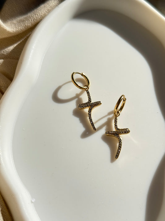 Σκουλαρίκια