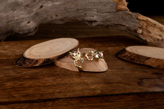 Σκουλαρίκια