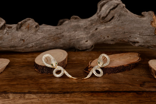 Σκουλαρίκια